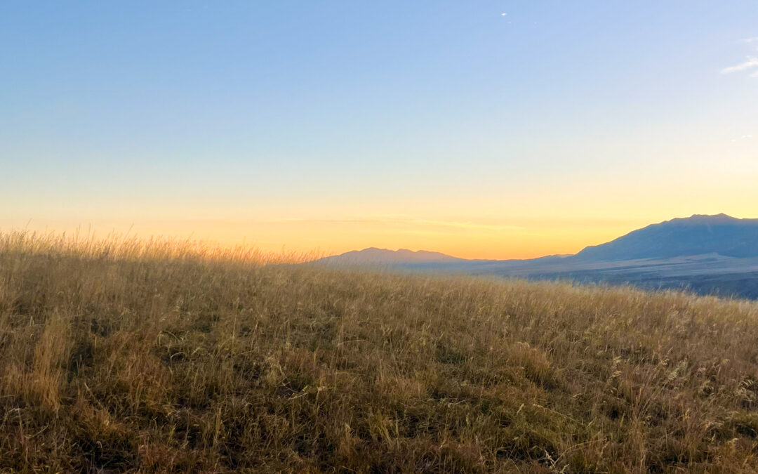 Wireless Internet Services for Rural Communities